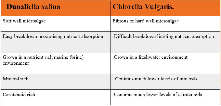 Chlorella Dunaliella Algae Algae Dha Epa Spirulina Supplement Nannochloropsis